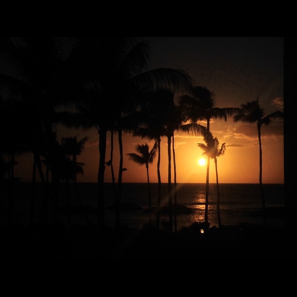 Meet your Posher, Aaron - Picture 1 of 1